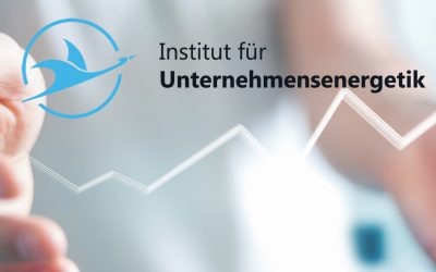 Die verborgene Energie Ihres Unternehmens, aus der Praxis ins Institut für Unternehmensenergetik Wiefelstede